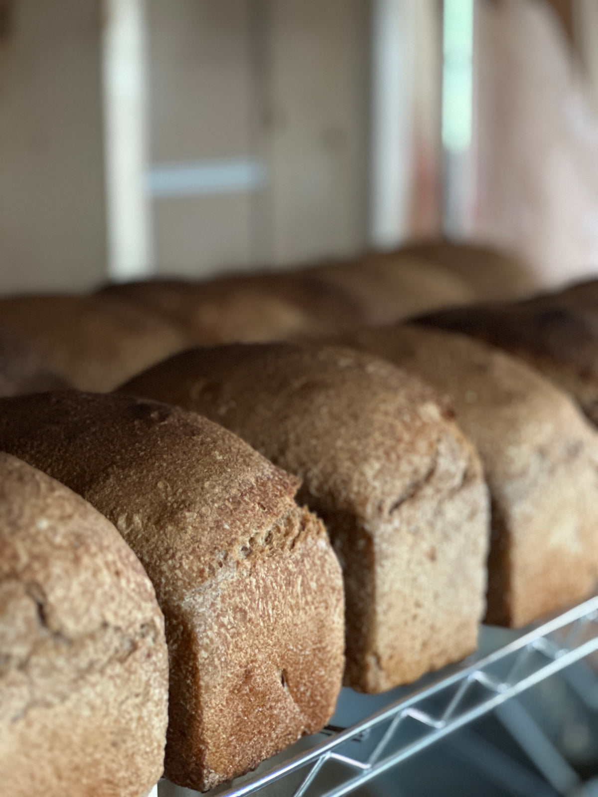 Maple Spelt Bulk