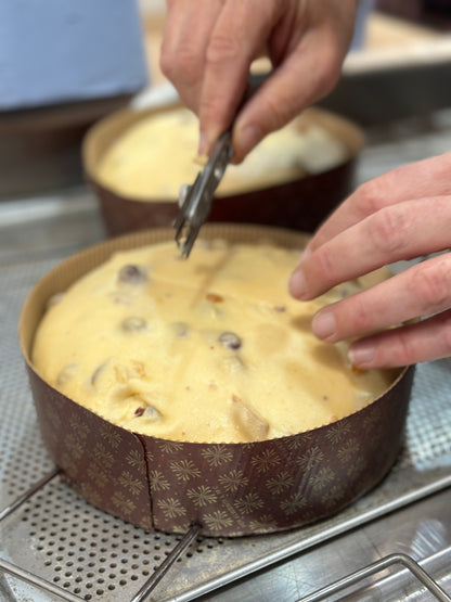 Classico Panettone (PICKUP  APRIL 3rd)