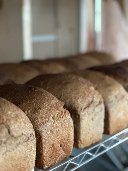 Maple Spelt Bulk